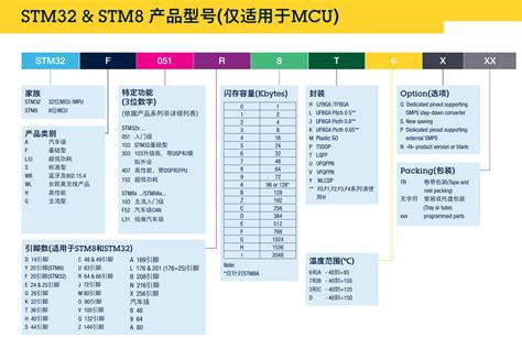 命名意思